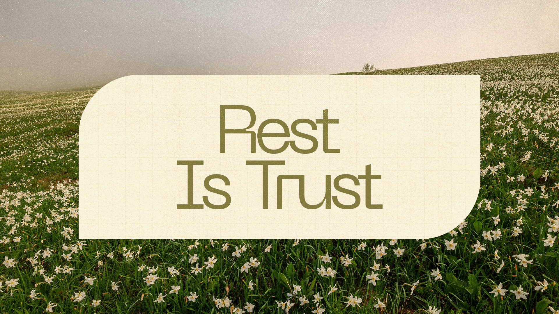 Featured image for “Sacred Rest: Rest is Trust”